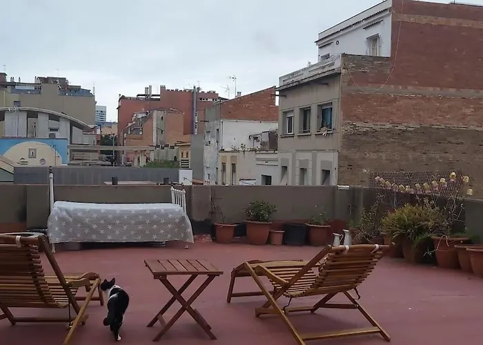 منزل للإقامة Small In Sants With Huge Terrace برشلونة