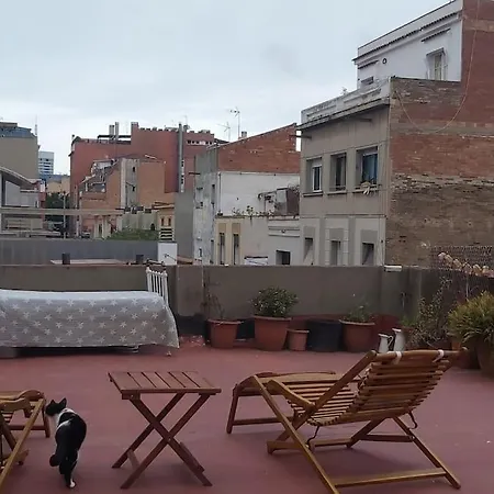 Homestay Small In Sants With Huge Terrace Barcelona