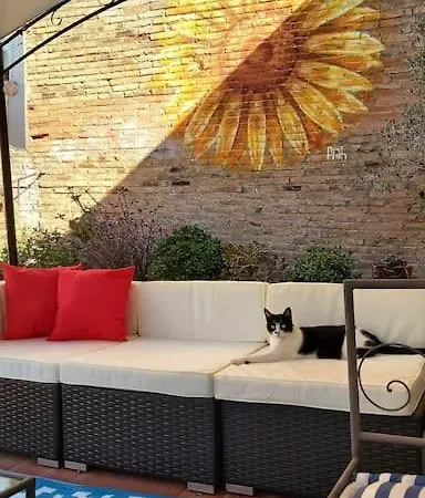 Small In Sants With Huge Terrace Homestay Barcelona